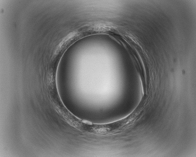 X0000054470407200507291352