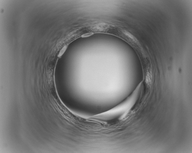 X0000054470409200507291352