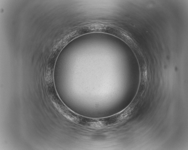 X0000054470411200507291352