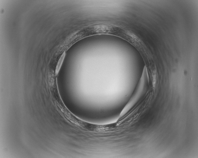 X0000054470413200507291352