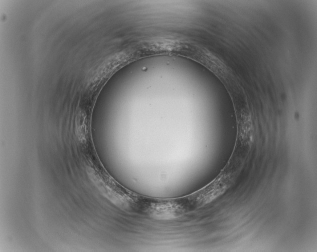 X0000054470414200507291352