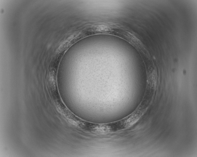 X0000054470415200507291352
