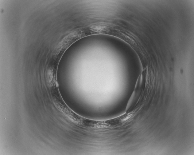 X0000054470420200507291352