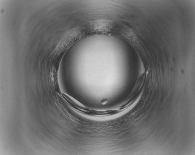 X0000054470424200507291352