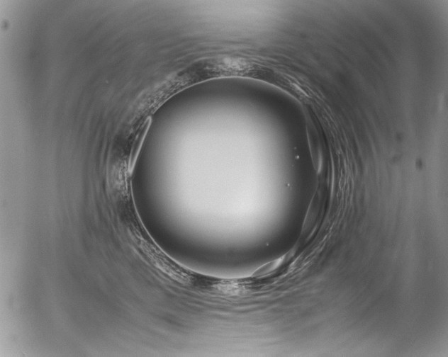 X0000054470425200507291352