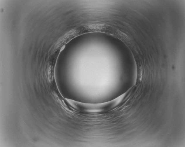 X0000054470428200507291352