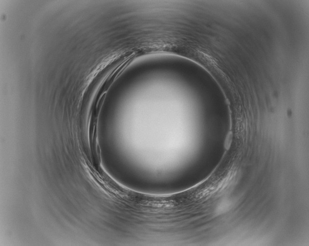 X0000054470443200507291351