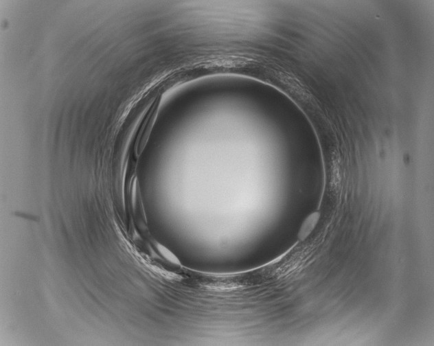 X0000054470444200507291351