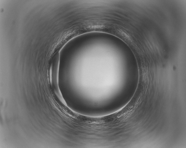 X0000054470447200507291351