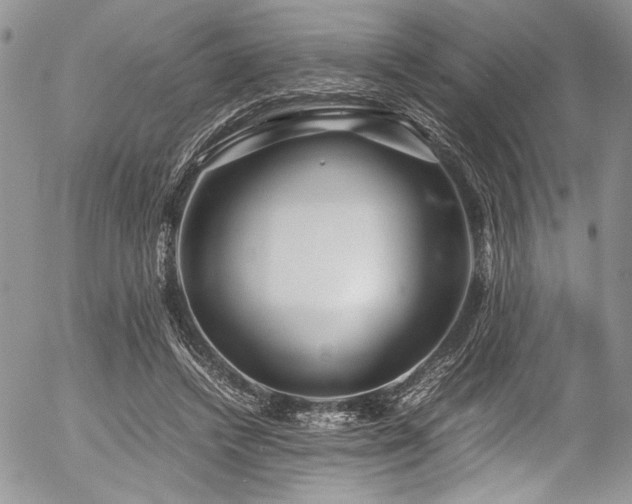 X0000054470448200507291351