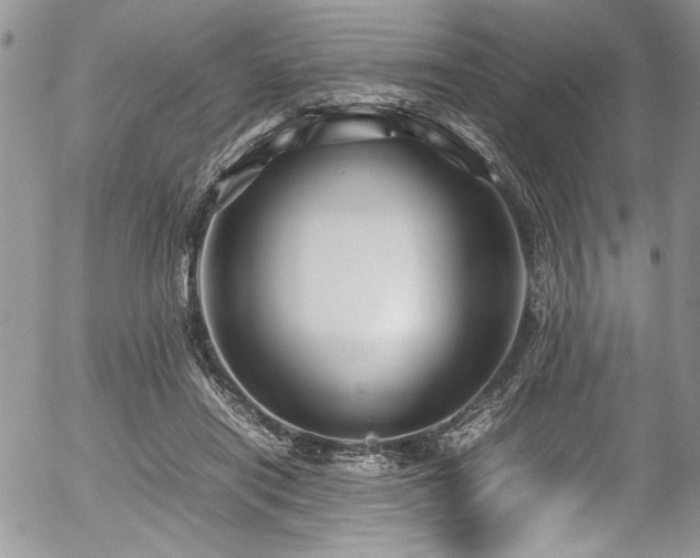 X0000054470454200507291351