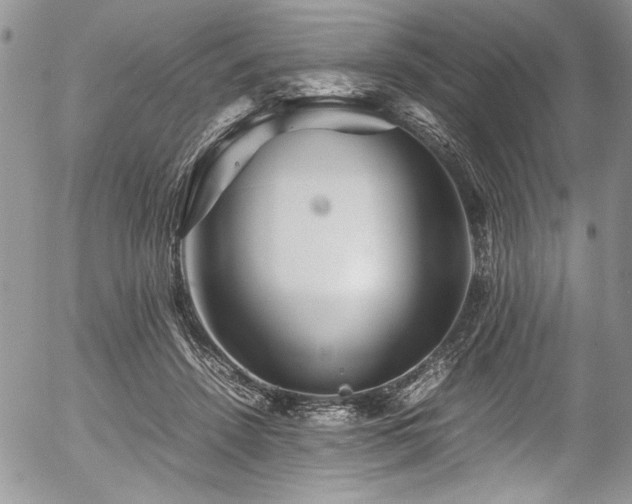X0000054470456200507291351