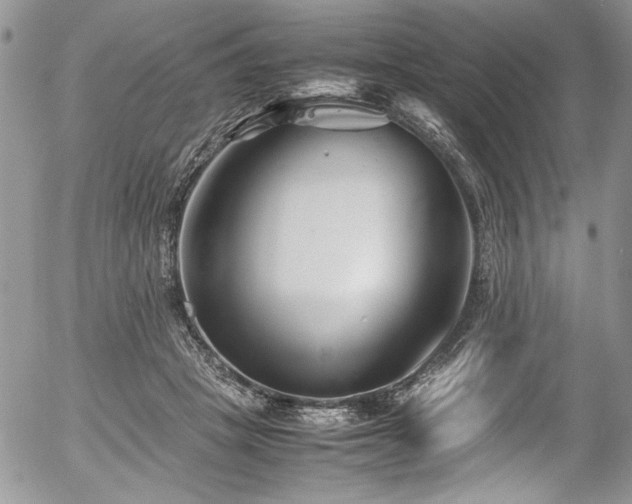 X0000054470457200507291351