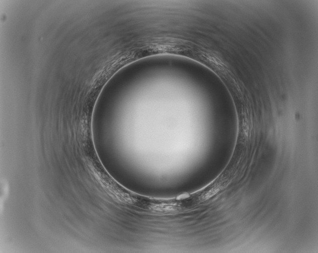 X0000054470461200507291351