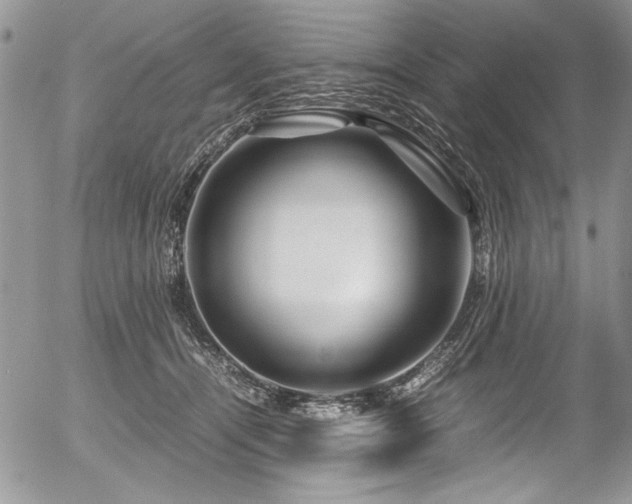 X0000054470464200507291351