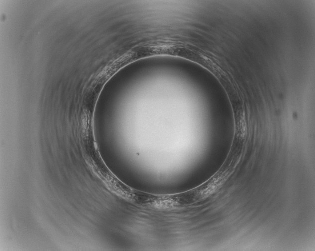 X0000054470468200507291352