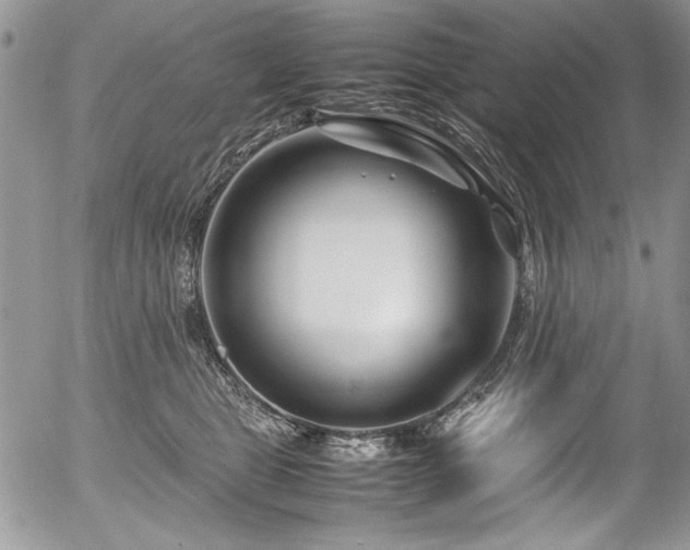 X0000054470469200507291352