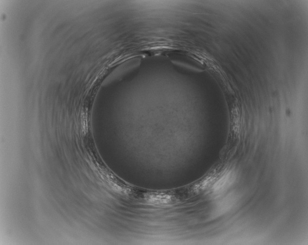 X0000054470471200507291352