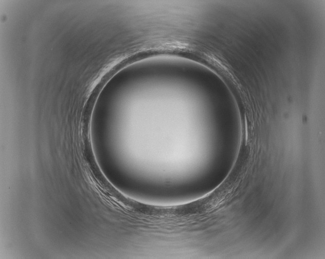 X0000054470483200507291351