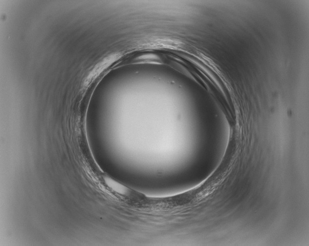 X0000054470485200507291351