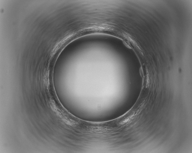 X0000054470486200507291351