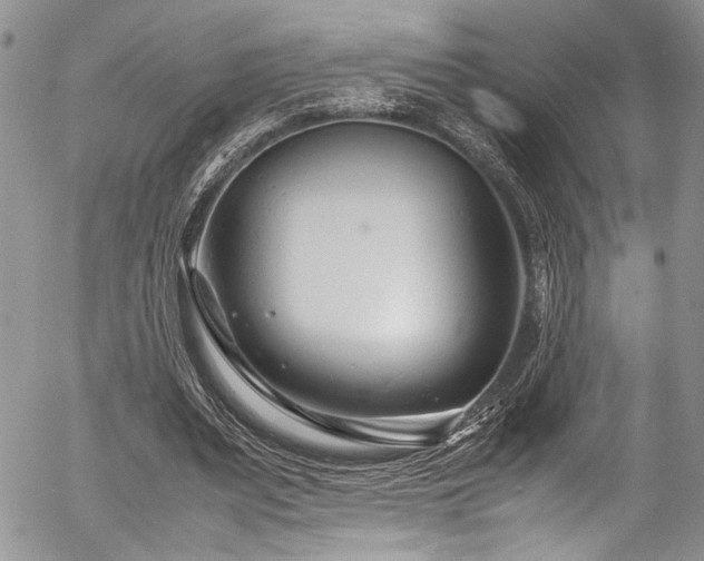 X0000054470487200507291351