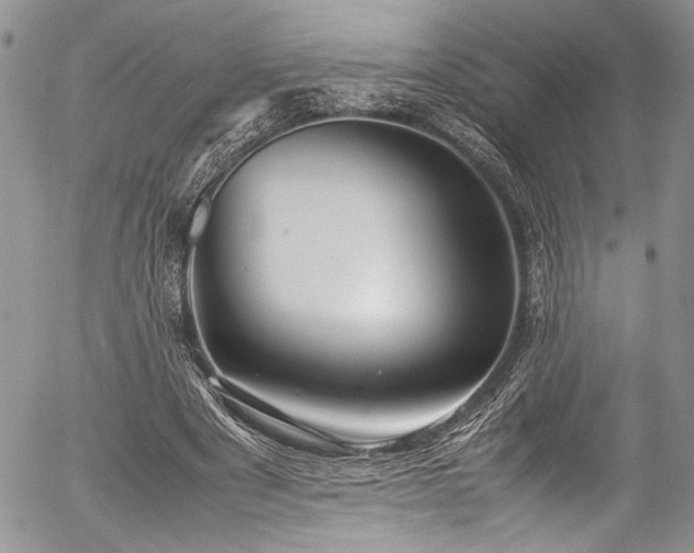 X0000054470489200507291351