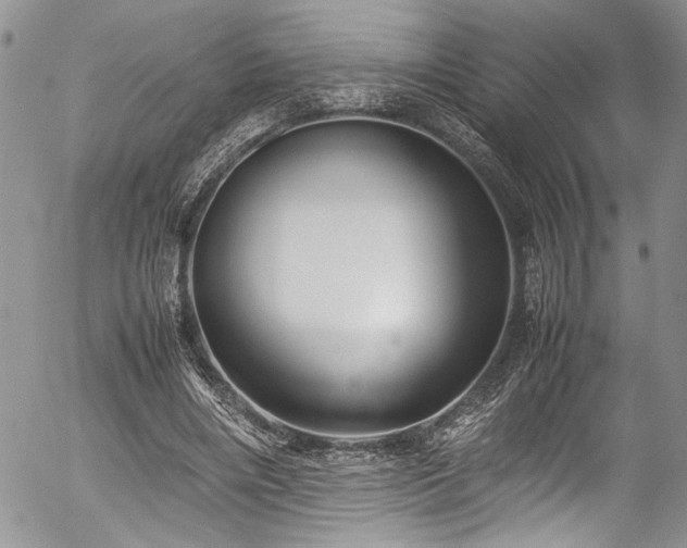 X0000054470490200507291351