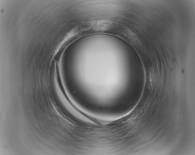 X0000054470492200507291351