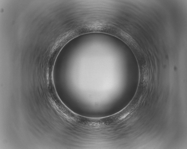 X0000054470494200507291351