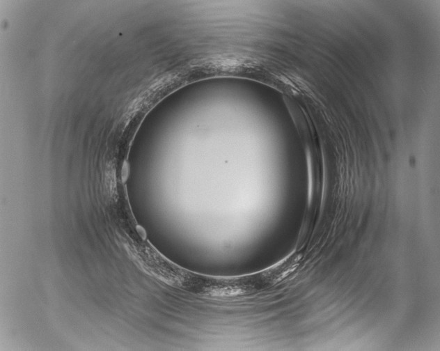 X0000054470500200507291351