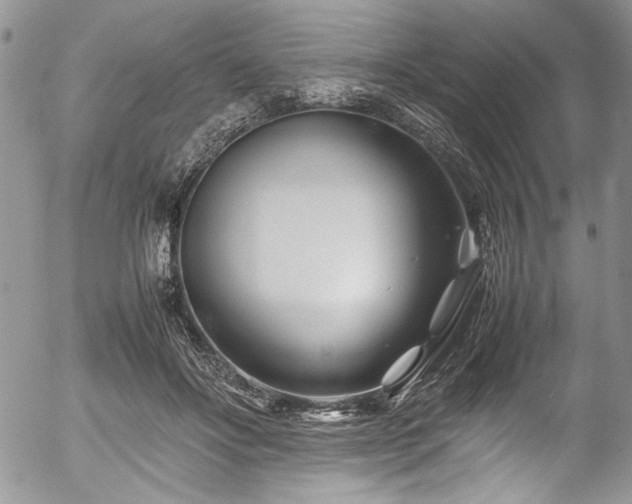 X0000054470502200507291351