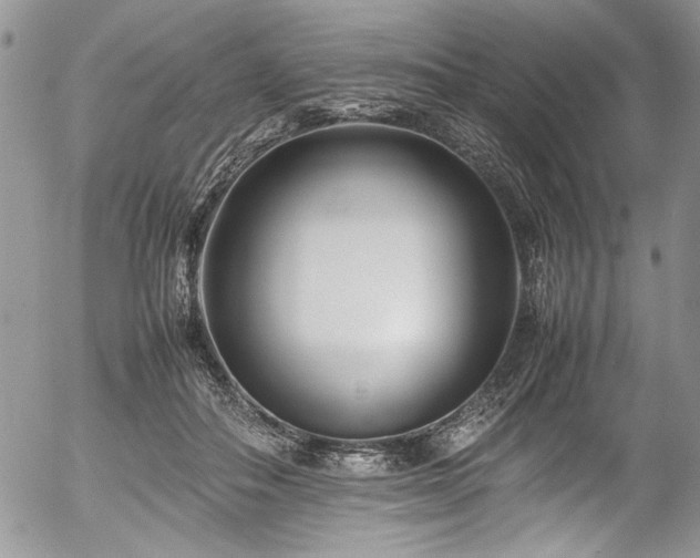 X0000054470506200507291351