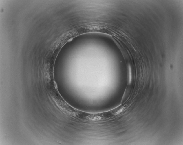 X0000054470512200507291350