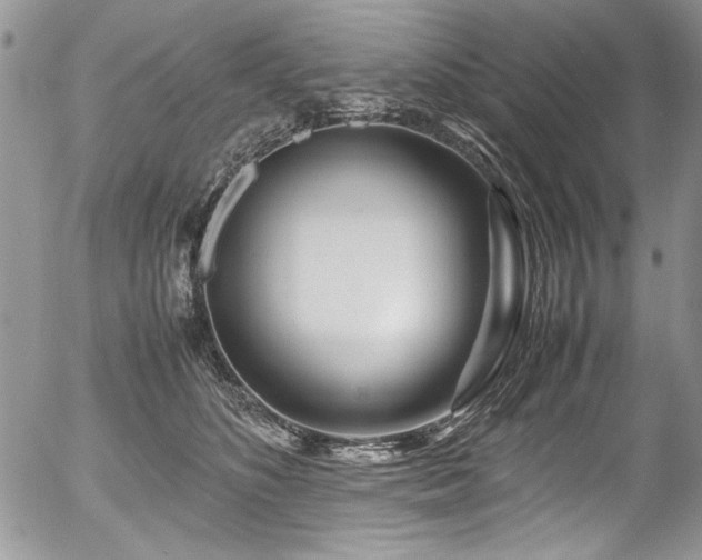 X0000054470516200507291350