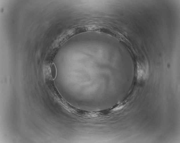 X0000054470523200507291350