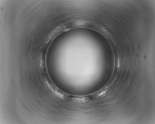 X0000054470524200507291350