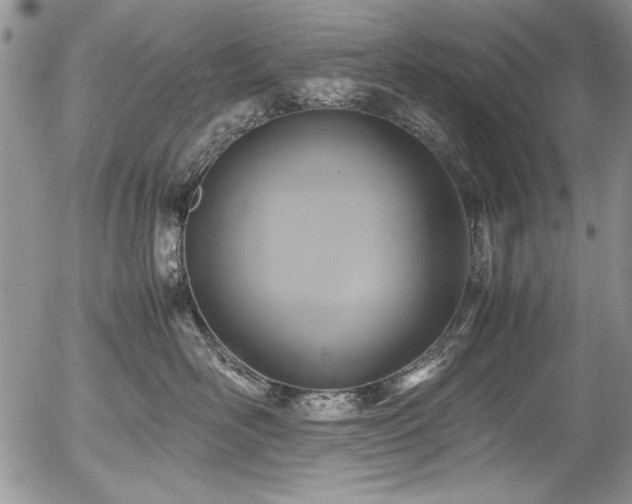 X0000054470526200507291350