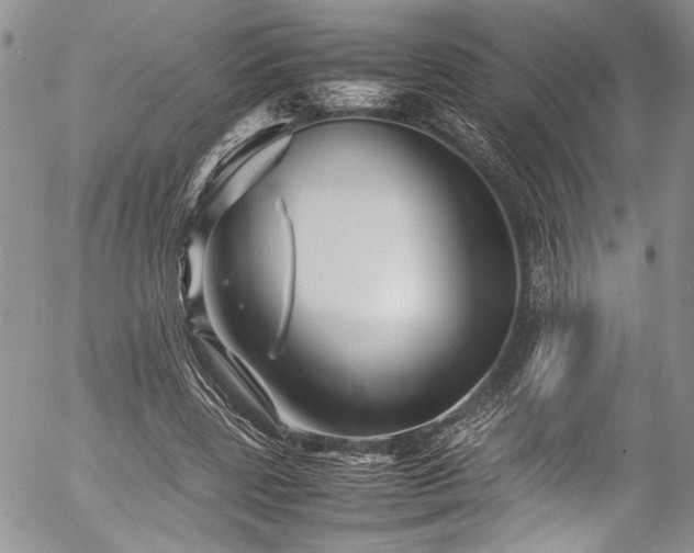 X0000054470539200507291350