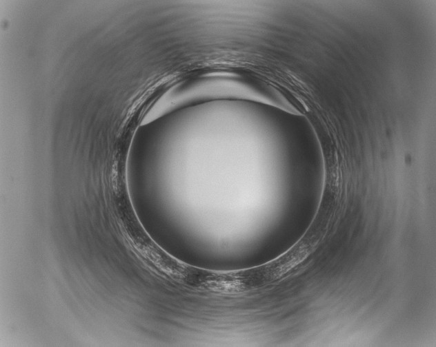 X0000054470552200507291350