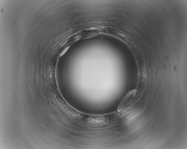 X0000054470567200507291350