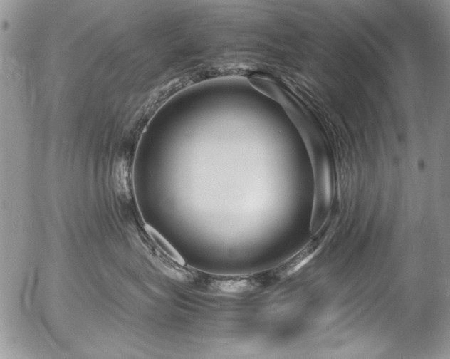 X0000054470575200507291350