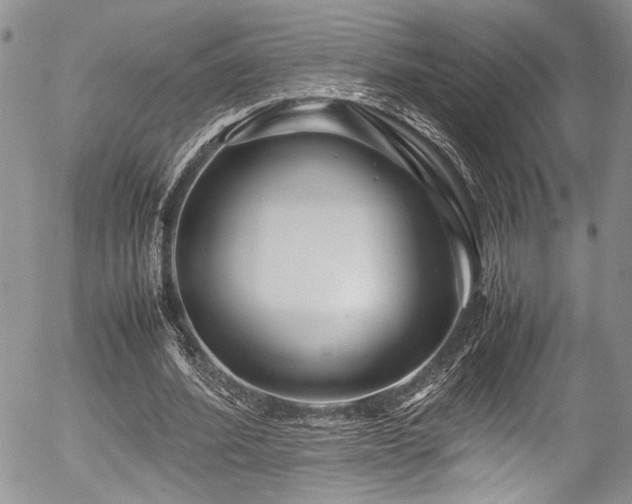 X0000054470580200507291349
