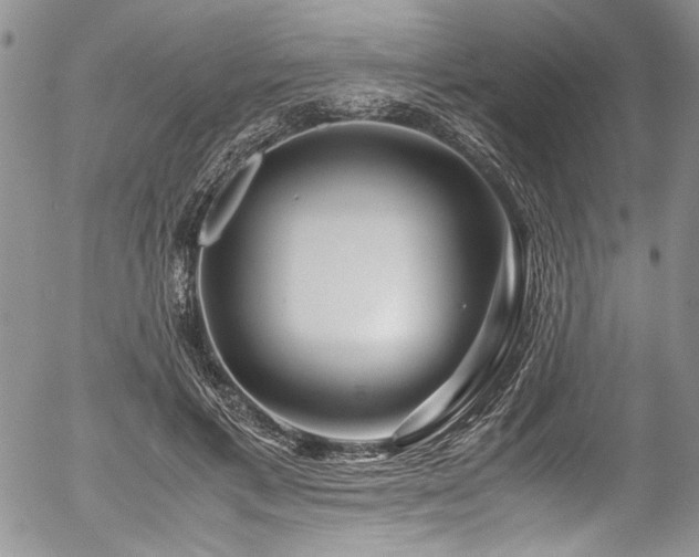 X0000054470597200507291349
