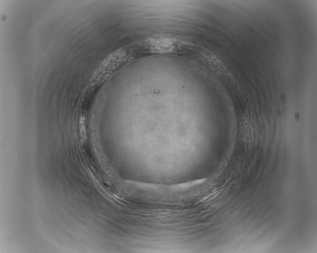 X0000054470598200507291349