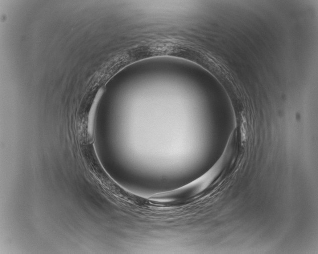 X0000054470601200507291349