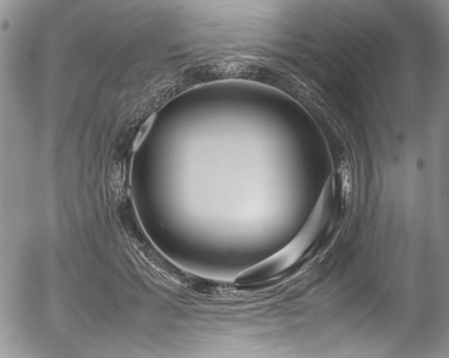 X0000054470605200507291349