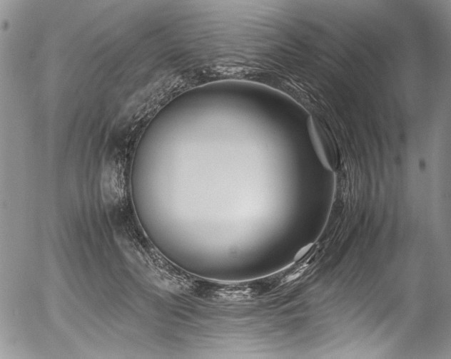 X0000054470606200507291349