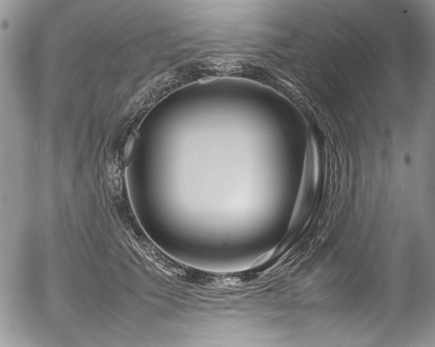 X0000054470609200507291349
