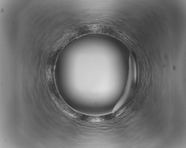 X0000054470611200507291349